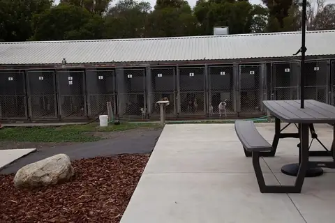 The original kennel building with outdoor runs and a picnic table