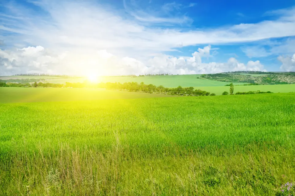 Wide green farm fields under a bright sun and a big blue sky