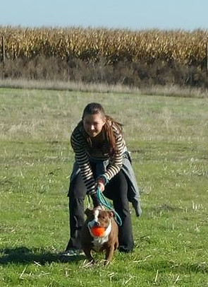 bc5b4a_b824b9b6f8dc44ff8bf9d8b81277802e~mv2 - Happy Paws Kennel | Dixon California